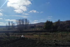 IMG-20211113-WA0012