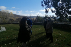 IMG-20211113-WA0019
