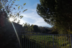 IMG-20211113-WA0020