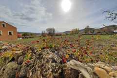 San-Martin-2022-10