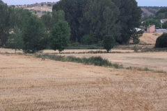 20220809_070642