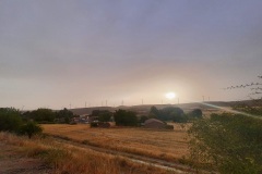 20220813_080513
